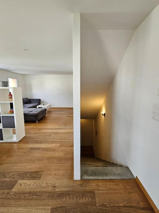 Appartamento Private Etage 5 Min Vom Bahnhof - Parken - Kueche - Netflix Widnau Esterno foto